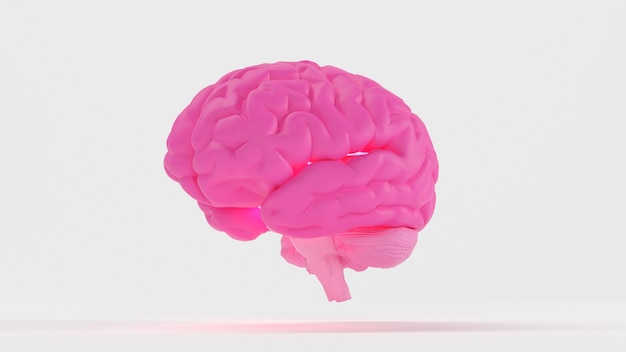 Ilustração de renderização 3D cérebro rosa