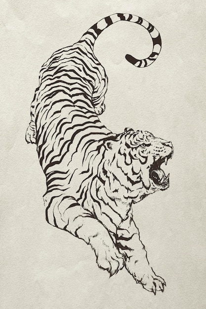 Ilustração de tigre rugindo desenhado à mão