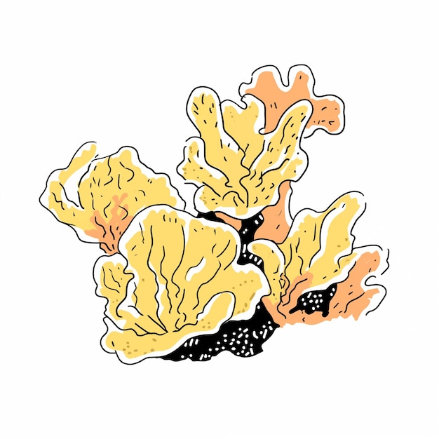 Foto ilustração de um feixe de algas marinhas com folhas laranjas e amarelas