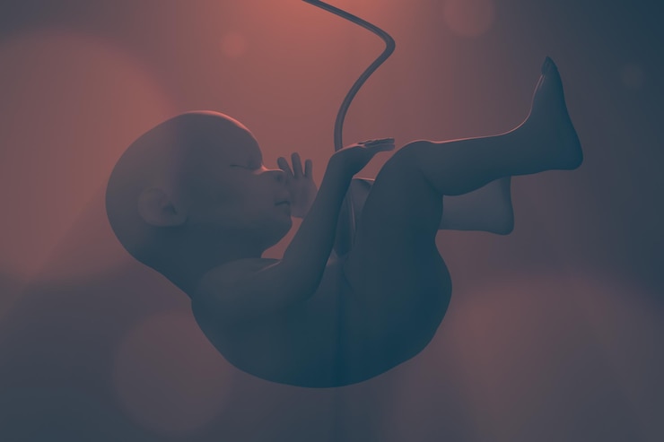 Foto ilustração de um feto com cordão umbilical temas de gravidez e procriação