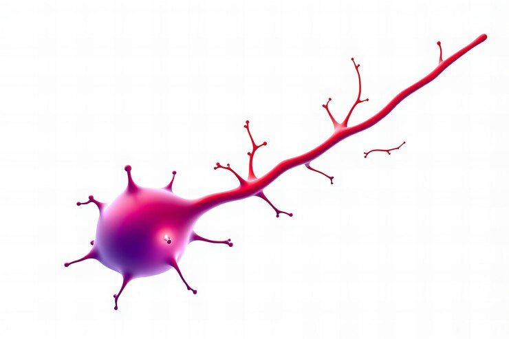 Foto ilustração de um neurônio com sinapses vermelhas