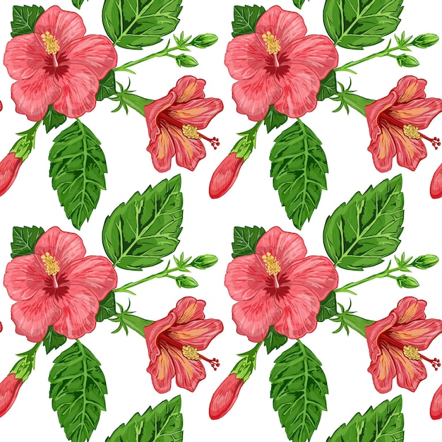 Ilustração de um padrão sem emenda de flores de plantas de hibisco e folhas de uma planta em um fundo