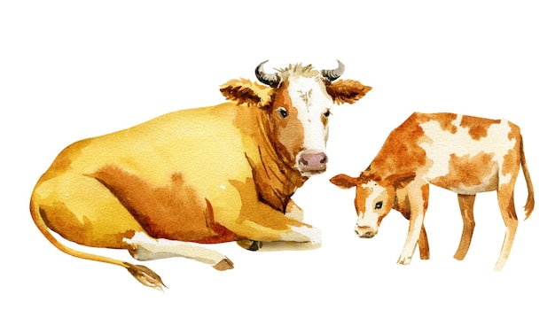 Ilustração de uma vaca com um bezerro esboço em aquarela de uma vaca e um bezerro marrom com manchas brancas fazenda