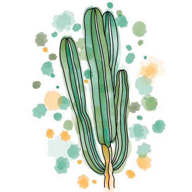 Ilustração digital desenhada à mão de cactos de plantas suculentas