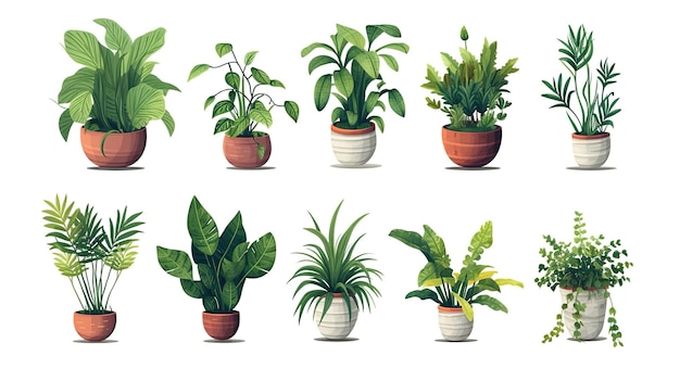 Ilustração do conjunto de coleções de plantas