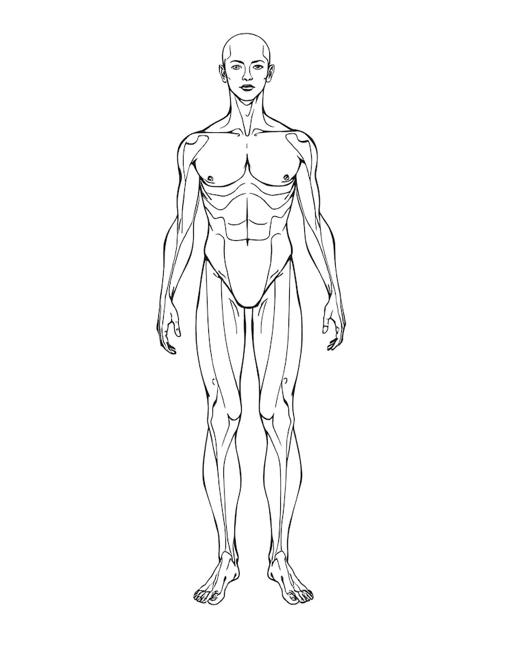 Foto ilustração do contorno do corpo humano desenhada à mão