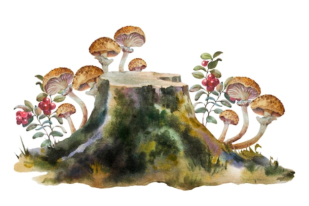 Ilustração em aquarela botânica pintada à mão de planta florestal uma composição de plantas florestais um toco