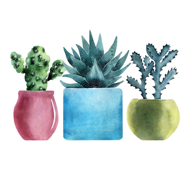 Ilustração em aquarela com diferentes tipos de cactos em vasos coloridos