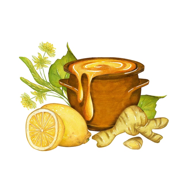 Ilustração em aquarela com um pote de mel, limão, gengibre e flores de limão sobre um fundo branco