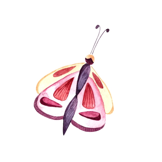 Ilustração em aquarela com uma borboleta de mariposa fofa vaga-lume inseto fofo Ilustração com insetos para cartões postais cartazes tecidos decoração
