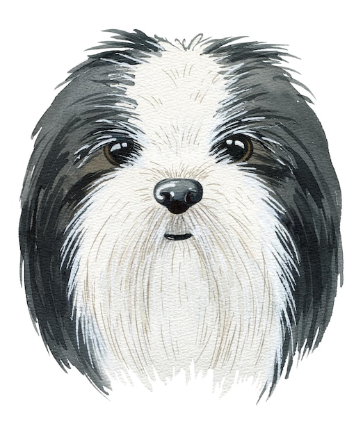 Ilustração em aquarela de cachorro