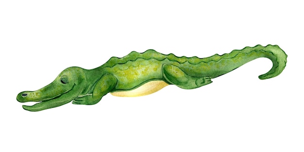 Ilustração em aquarela de crocodilo de desenho animado isolada em fundo branco