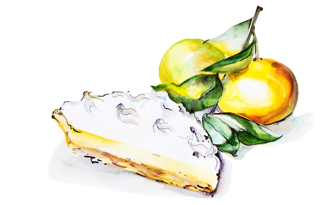 Ilustração em aquarela de fatia fatia de torta de laranja ou albaricoque com frutas isoladas