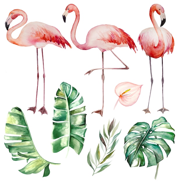 Foto ilustração em aquarela de flamingos rosa e folhas verdes tropicais para papel de carta de casamento, saudações, papel de parede, moda, cartazes