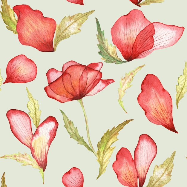 Ilustração em aquarela de flores e pétalas de papoilas vermelhas