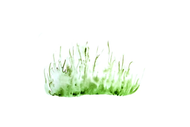 Foto ilustração em aquarela de grama verde.