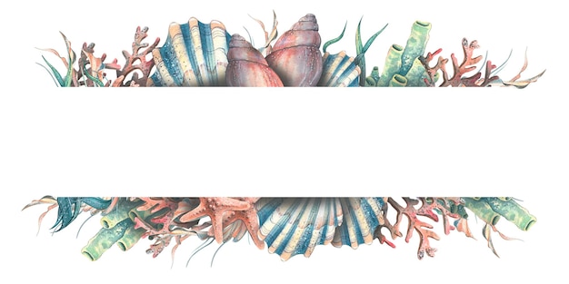 Ilustração em aquarela de um banner horizontal com conchas corais cavalos-marinhos estrelas do mar algas para o design e decoração de cartões postais cartazes banners spas papéis de parede