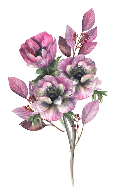 Ilustração em aquarela de um buquê pronto de flores de anêmona rosa folhas e bagas