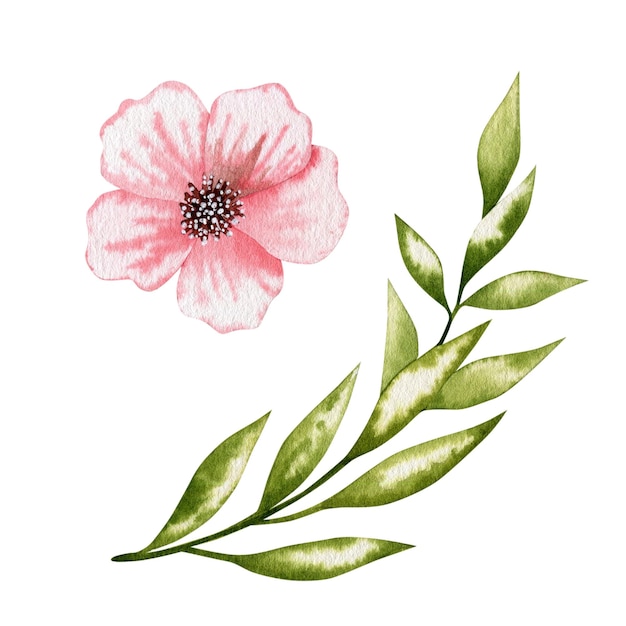 Foto ilustração em aquarela de um galho com folhas verdes e uma flor rosa.