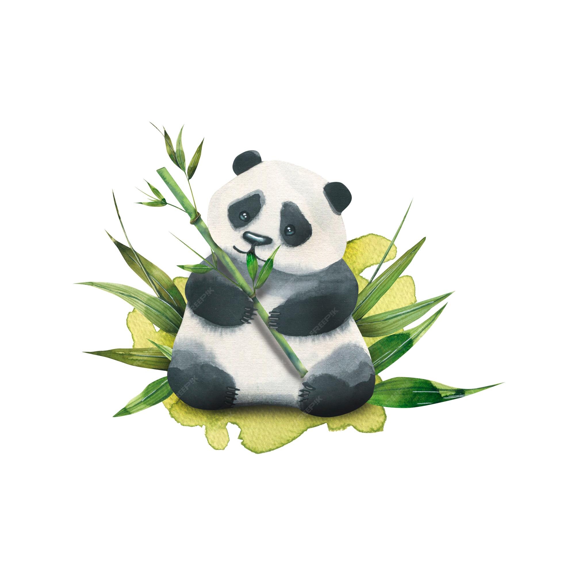 Panda bonito segurando desenho animado de ilustração de bambu, Gráficos -  Envato Elements