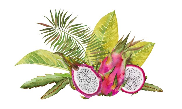 Ilustração em aquarela de uma fruta de dragão vermelho metade de uma pitahaya com fatias e folhas tropicais verdes Composição botânica para produtos exóticos vegetarianos imprime adesivos