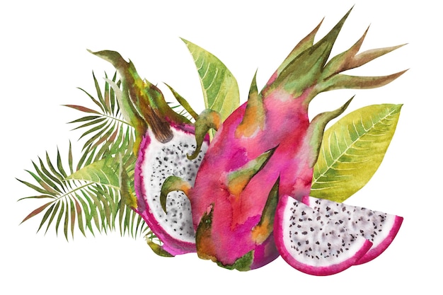 Foto ilustração em aquarela de uma fruta de dragão vermelho metade de uma pitahaya com fatias e folhas tropicais verdes composição botânica para produtos exóticos vegetarianos imprime adesivos