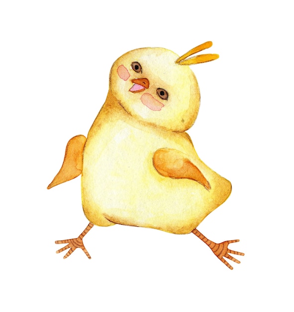 Ilustração em aquarela de uma galinha amarela bonitinha correndo alegremente. Desenho para frango feliz de crianças. Religião, tradição, Páscoa. Isolado em um fundo branco. Desenhado à mão.