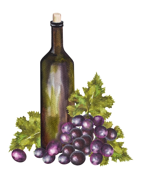 Ilustração em aquarela de uma garrafa de vidro vintage de vinho e uvas em um fundo branco ilustração desenhada à mão