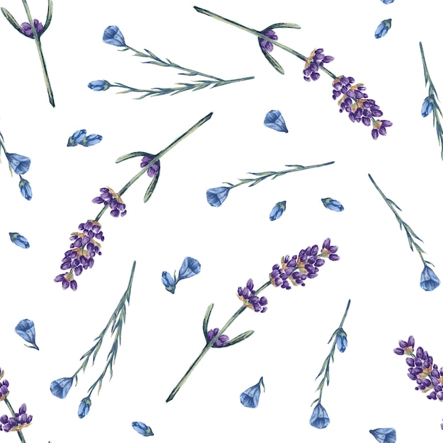 Ilustração em aquarela sem costura de flores de centáurea azul lavanda sobre fundo branco