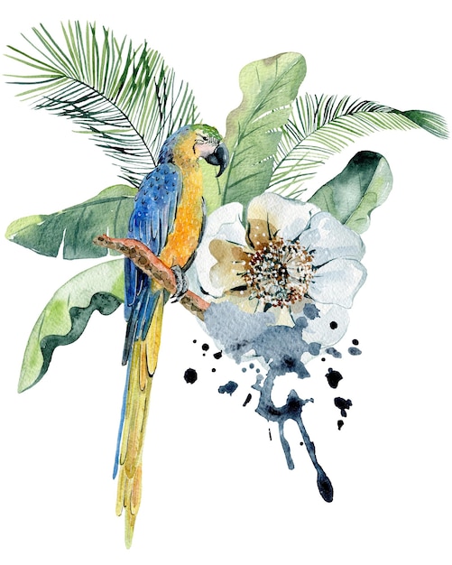 Ilustração em aquarela tropical com arara