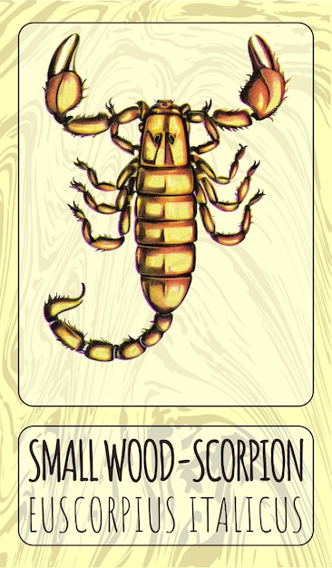 Foto ilustração em cores de small woodscorpion ou em latim euscorpius italicus generative ai