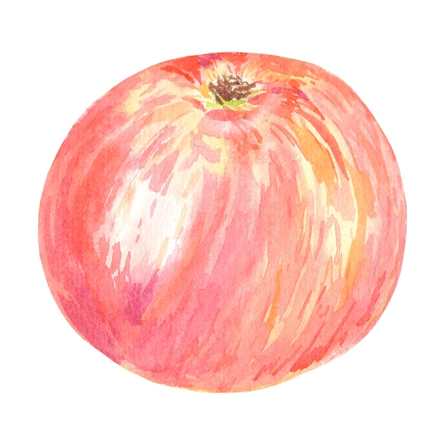 Ilustração isolada de maçã vermelha aquarela em fundo branco fruta de outono para cartaz de menu de logotipo