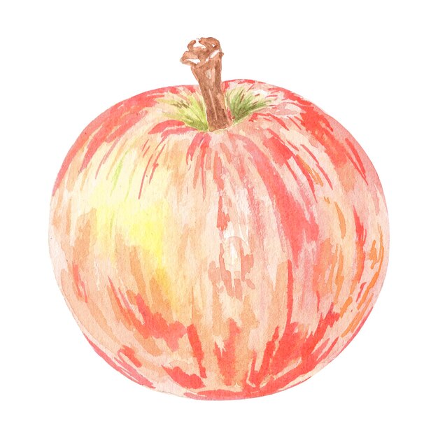 Ilustração isolada de maçã vermelha aquarela em fundo branco fruta de outono para cartaz de menu de logotipo
