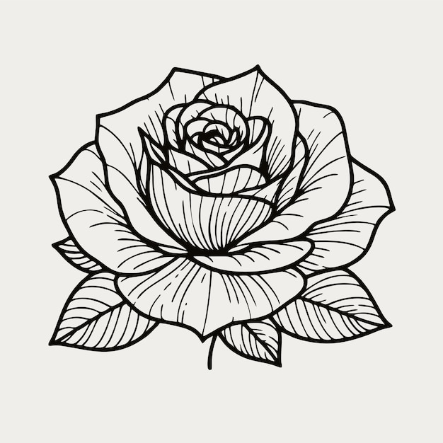 Ilustração vetorial para coloração de rosas