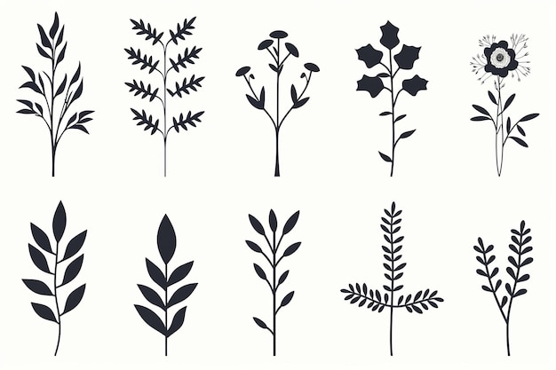 Foto ilustración de 10 iconos planos minimalistas diferentes para ilustración floral.