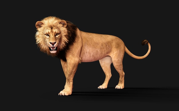 Ilustración 3d de actos y poses de leones peligrosos aislados sobre fondo negro con trazado de recorte