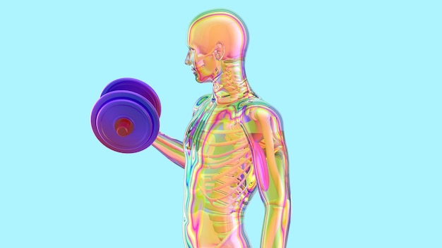 Ilustración 3D de una anatomía de un hombre de rayos X haciendo flexiones de bíceps