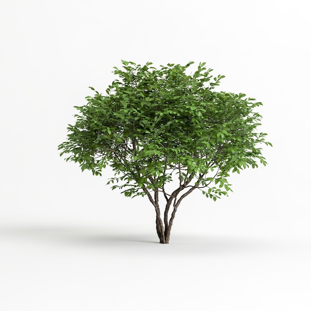 Ilustración 3d de árbol aislado sobre fondo blanco.