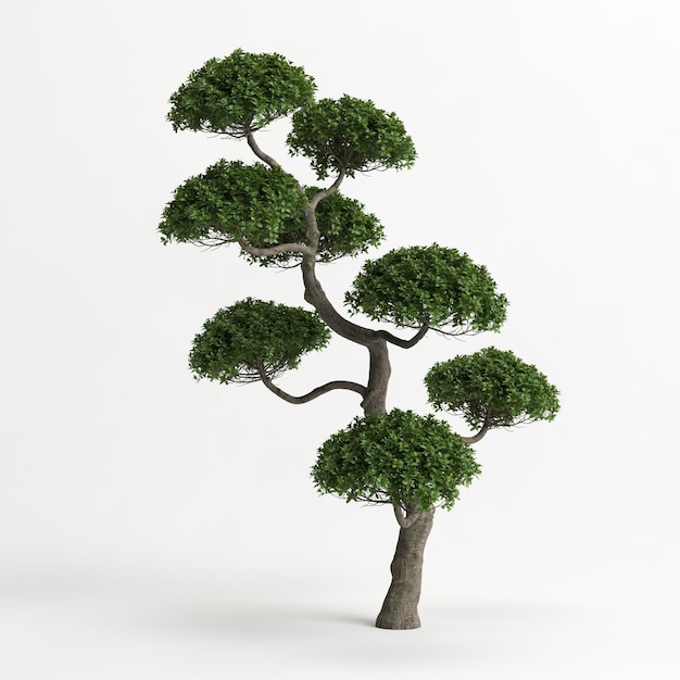 Ilustración 3d de Carmona microphylla bonsai aislado en blanco y su máscara