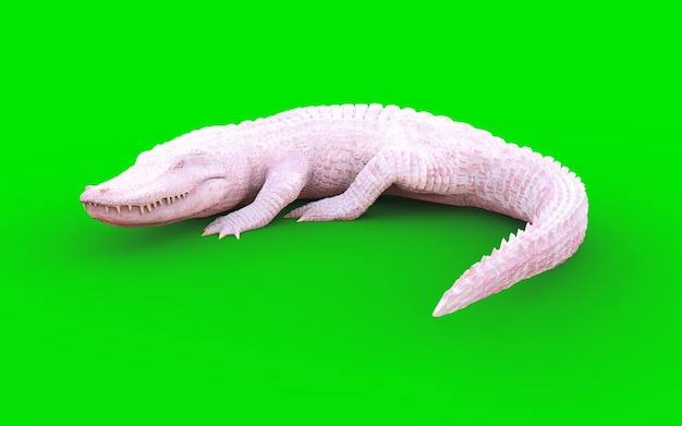 Ilustración 3D de cocodrilo americano albino aislado en fondo verde, cocodrilo americano