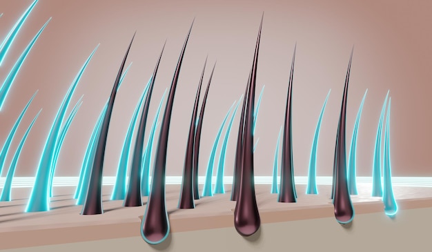 Ilustración 3D del concepto de regeneración de folículos pilosos