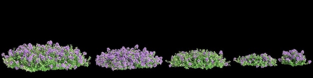 Ilustración en 3D del conjunto de arbustos de Thymus serpyllum aislados en fondo negro