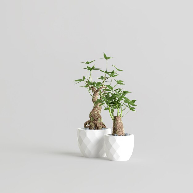 Ilustración 3d de dos árboles bonsai aislado sobre fondo blanco.