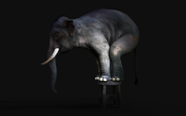 Ilustración 3d de un elefante de pie sobre un pequeño taburete aislado sobre fondo negro oscuro con trazado de recorte.