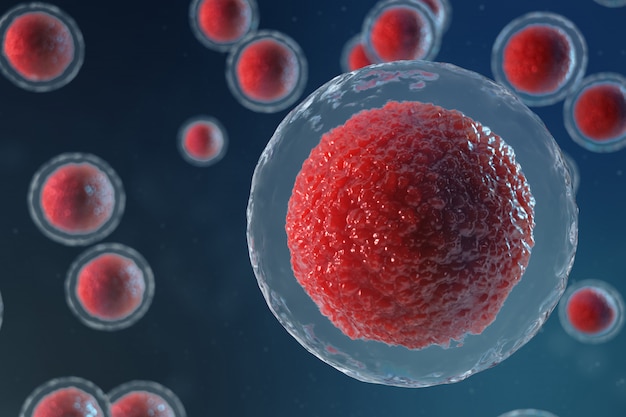 Ilustración 3D embriones de óvulos. Células embrionarias con núcleo rojo en el centro. Células de huevo humanas o animales. Concepto científico de medicina. Desarrollo de organismos vivos a nivel celular bajo microscopio.