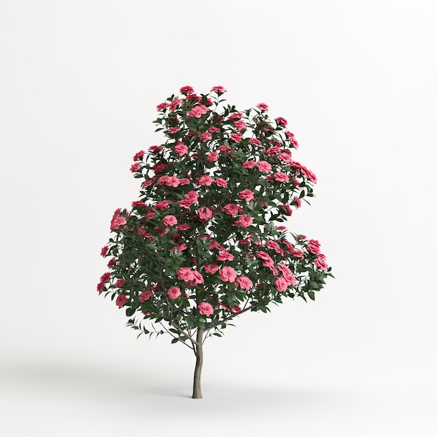 Ilustración 3d de la flor Camellia sasanqua aislada en blanco y su máscara