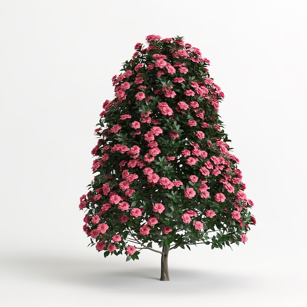 Ilustración 3d de la flor Camellia sasanqua aislada en blanco y su máscara