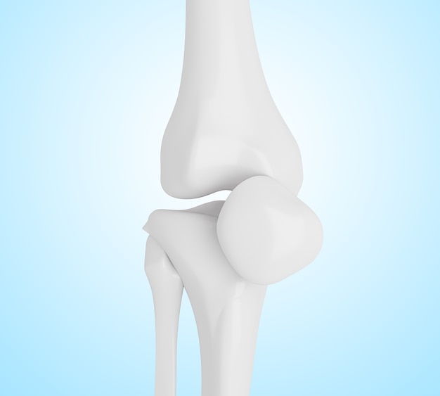 Ilustración 3D de huesos de rodilla humana