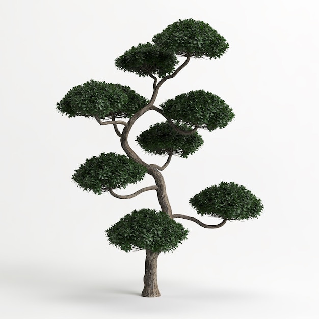 Ilustración 3d de Ilex cornuta bonsai aislado en blanco y su máscara