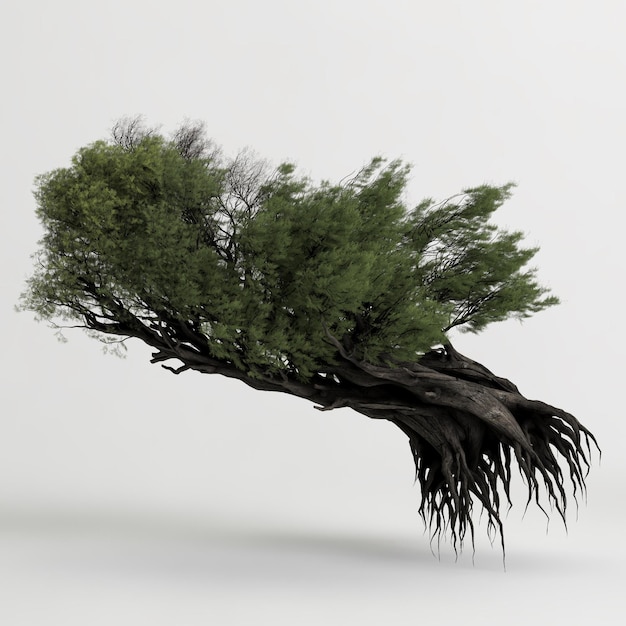 Ilustración 3d de juniperus communis árbol aislado sobre fondo blanco.